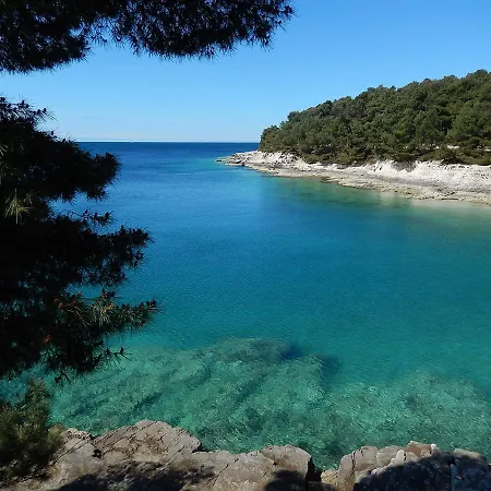 Гостьовий будинок Davor 3*