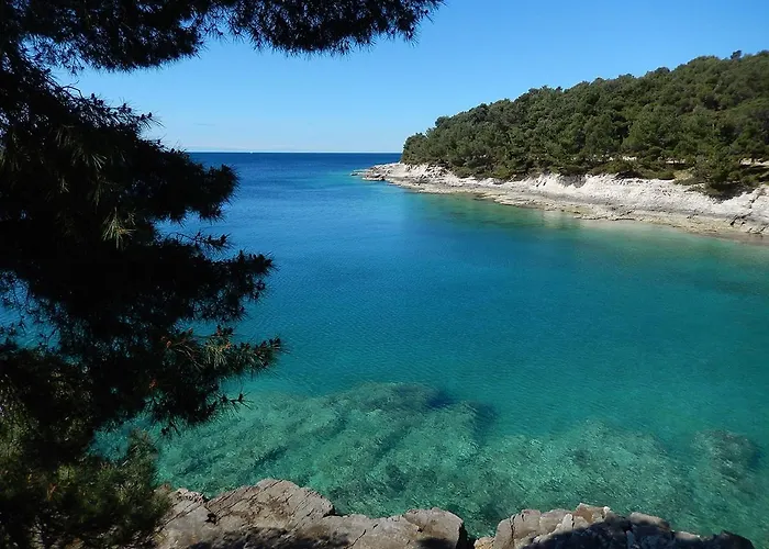 Гостьовий будинок Davor 3*